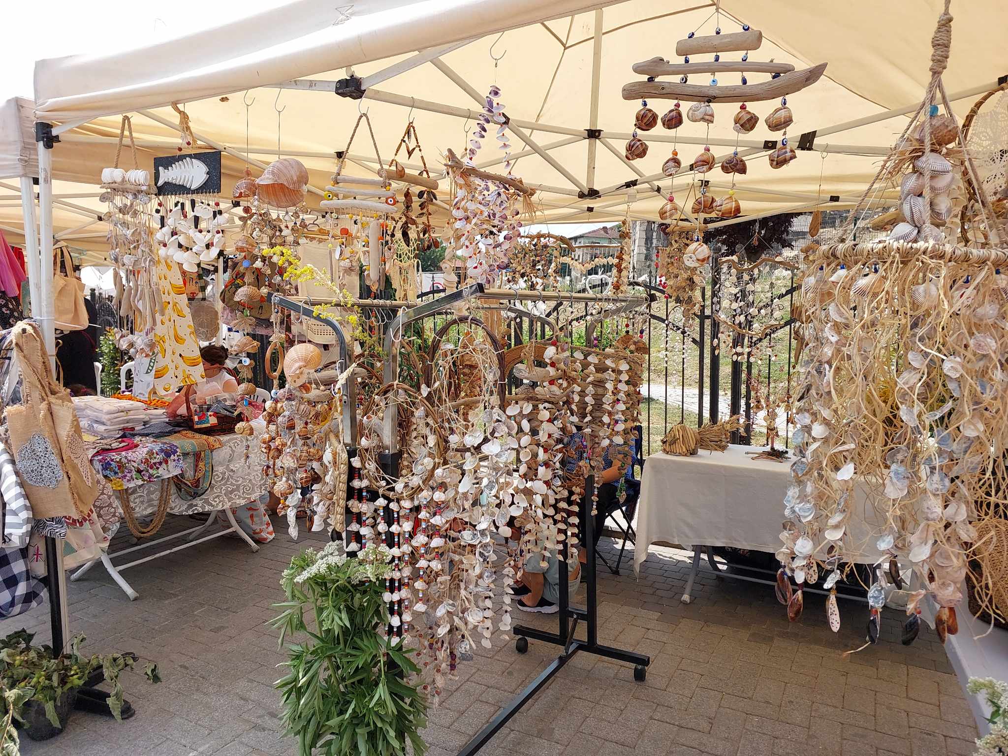 359620602 195195316547652 6686339985748709845 n