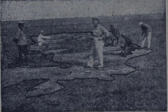 Görsel 4. Qırımdaki tamgalarnıñ teşkerüvi içün ekspeditsiyadan bir fotografiya 1
